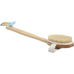 SPA ACCESSORIES by Spa Accessories - SPA SISTER BEECHWOOD SPA BATH BRUSH