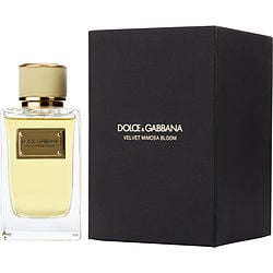 DOLCE & GABBANA VELVET MIMOSA BLOOM by Dolce & Gabbana - EAU DE PARFUM SPRAY