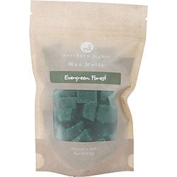 EVERGREEN FOREST by Northern Lights - WAX MELTS POUCH